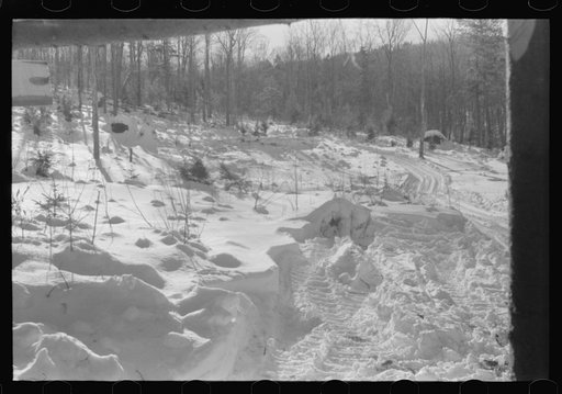 Untitled photo, possibly related to: Path leading to lumbermen's shack near Barnard, Windsor County, Vermont