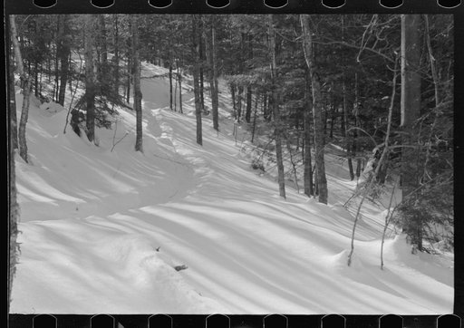 Path leading to lumbermen's shack near Barnard, Windsor County, Vermont
