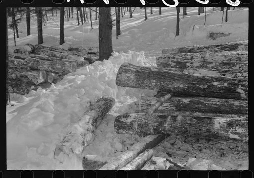 Untitled photo, possibly related to: Hauling timber by tractor to the road where it is taken by truck to the mill. Near Barnard, Windsor County, Vermont