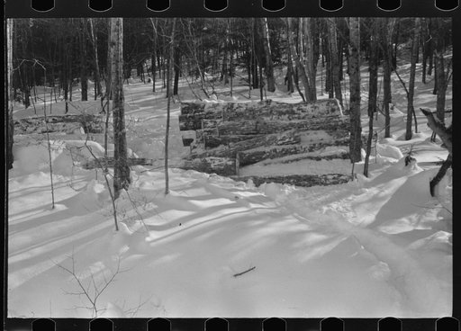 Untitled photo, possibly related to: Hauling timber by tractor to the road where it is taken by truck to the mill. Near Barnard, Vermont