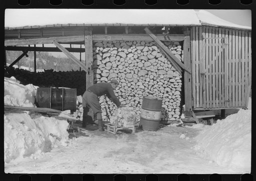 Hired hand on Mr. Dickinson's farm in Lisbon, near Franconia, New Hampshire, putting split logs in woodshed for winter fuel