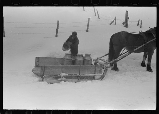 Untitled photo, possibly related to: Hauling water in milk cans because usual source of supply is frozen on farm near Barre, Vermont