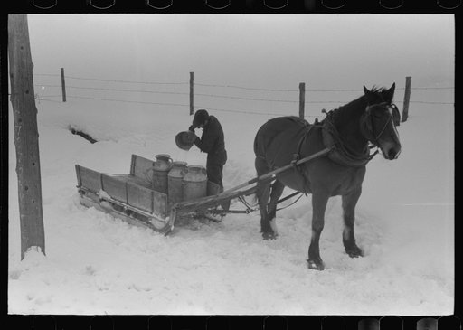 Hauling water in milk cans because usual source of supply is frozen on farm near Barre, Vermont