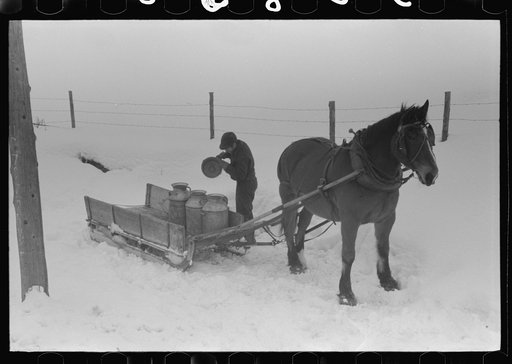 Untitled photo, possibly related to: Hauling water in milk cans because usual source of supply is frozen on farm near Barre, Vermont