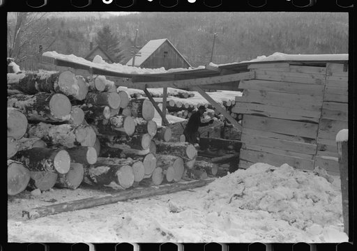 Timber levelled by 1938 hurricane at sawmill near Warren, New Hampshire