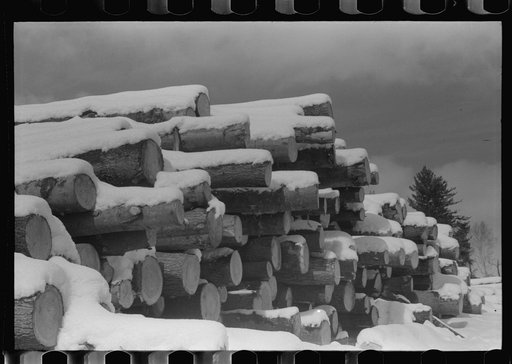 Timber levelled by 1938 hurricane at sawmill near Warren, New Hampshire