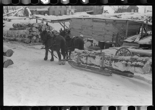 Timber levelled by 1938 hurricane at sawmill near Warren, New Hampshire