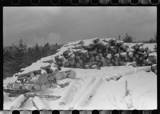 Untitled photo, possibly related to: Timber levelled by 1938 hurricane at sawmill near Warren, New Hampshire