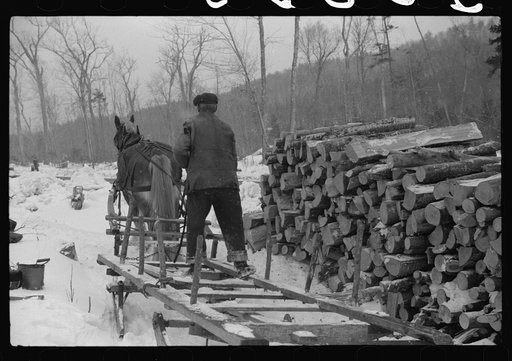 Untitled photo, possibly related to: Farmer hauling wood for winter fuel near Littleton, New Hampshire