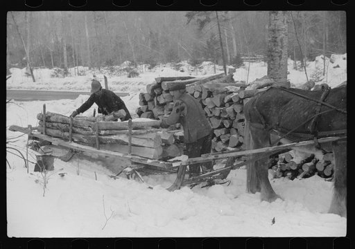 Untitled photo, possibly related to: Farmer hauling wood for winter fuel near Littleton, New Hampshire