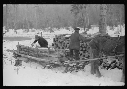 Farmer hauling wood for winter fuel near Littleton, New Hampshire