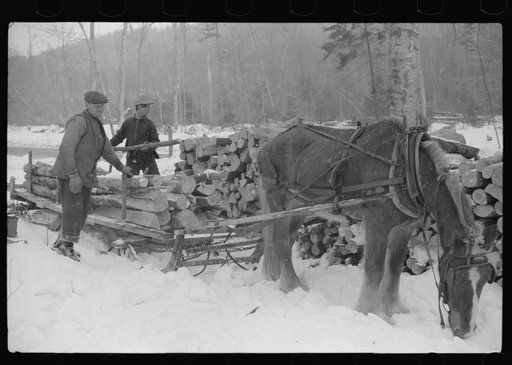 Untitled photo, possibly related to: Farmer hauling wood for winter fuel near Littleton, New Hampshire