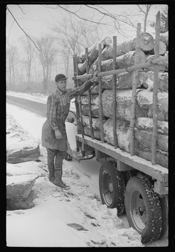 Lumberman hauling logs to the mill in truck, near Littleton, New Hampshire