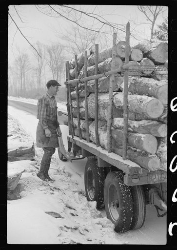 Untitled photo, possibly related to: Lumberman hauling logs to the mill in truck, near Littleton, New Hampshire