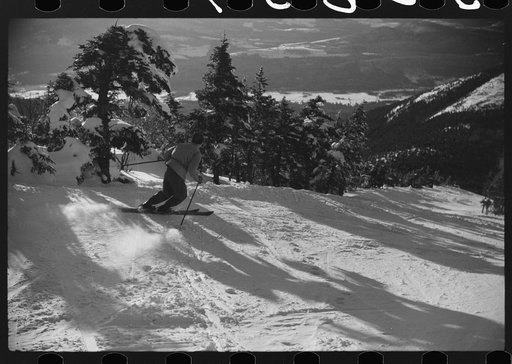 Skiing down the Taft Trail on Cannon Mountain, Franconia Notch, New Hampshire