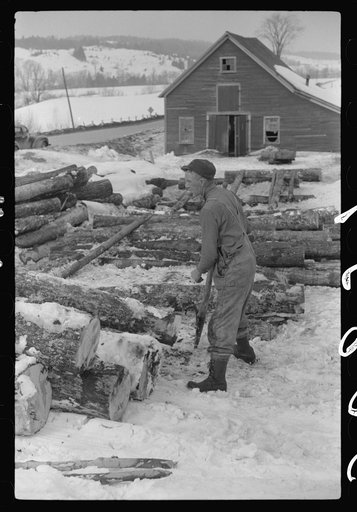 Hired man hauling logs on farm near Waterbury, Vermont. They are then sold to the mill. He said "There ain't nothin' meaner than a log except a woman when she wants to be. They sure can be stubborn."