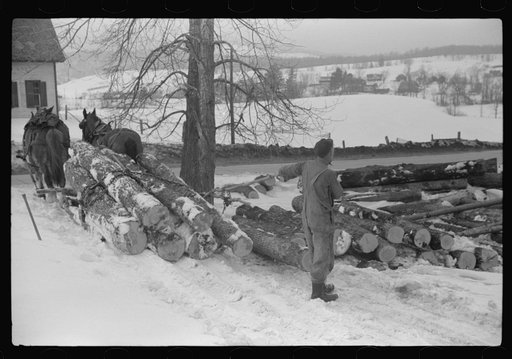 Untitled photo, possibly related to: Hired man hauling logs on farm near Waterbury, Vermont. They are then sold to the mill. He said "There ain't nothin' meaner than a log except a woman when she wants to be. They sure can be stubborn."