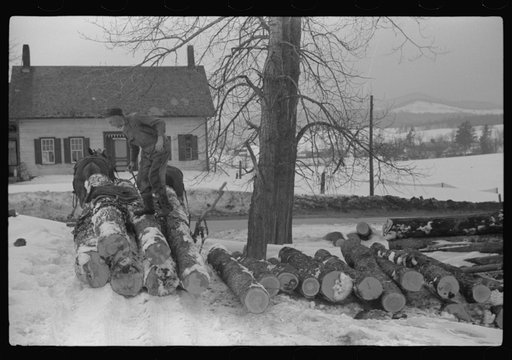 Untitled photo, possibly related to: Hired man hauling logs on farm near Waterbury, Vermont. They are then sold to the mill. He said "There ain't nothin' meaner than a log except a woman when she wants to be. They sure can be stubborn."