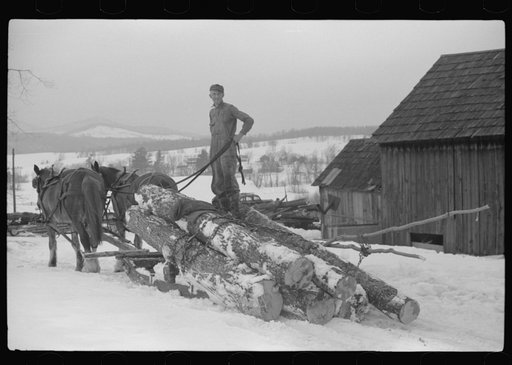 Untitled photo, possibly related to: Hired man hauling logs on farm near Waterbury, Vermont. They are then sold to the mill. He said "There ain't nothin' meaner than a log except a woman when she wants to be. They sure can be stubborn."