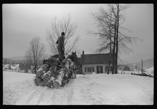 Hired man hauling logs on farm near Waterbury, Vermont