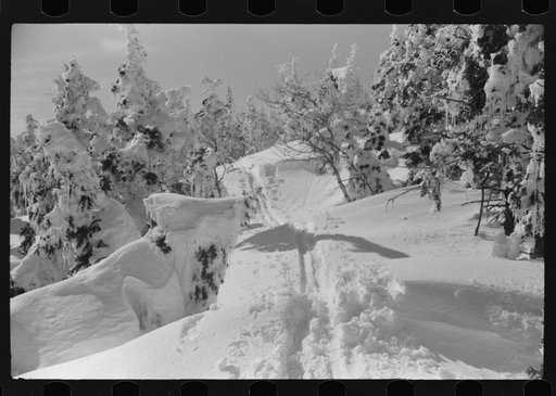 Snow-covered trees and ski trail on top of Mount Mansfield, Smuggler's Notch, near Stowe, Vermont