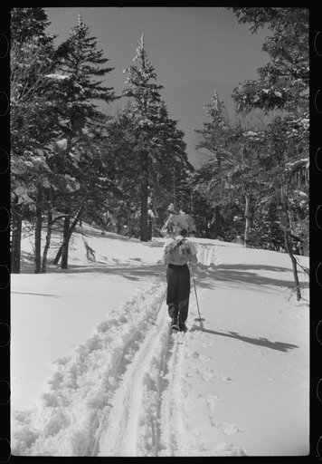 Untitled photo, possibly related to: Ski trail on way up Mount Mansfield, Smuggler's Notch, near Stowe, Vermont