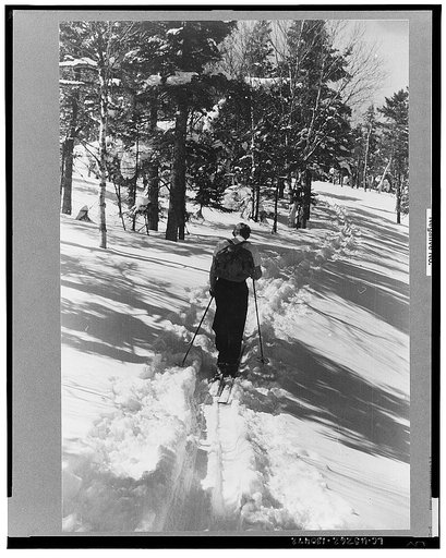 Ski trail on way up Mount Mansfield, Smuggler's Notch, near Stowe, Vermont