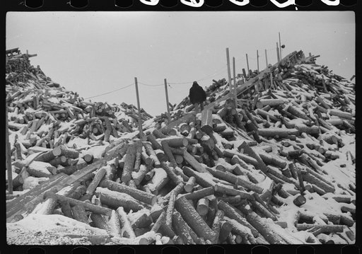 Pulpwood for the paper mills in Berlin, New Hampshire