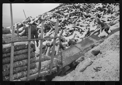 Pulpwood for the paper mills in Berlin, New Hampshire