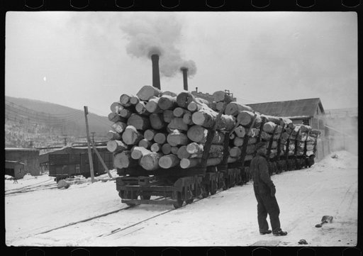 Pulpwood for the paper mills in Berlin, New Hampshire