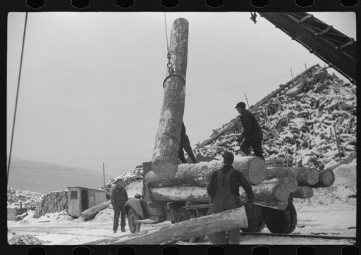 Pulpwood for the paper mills in Berlin, New Hampshire