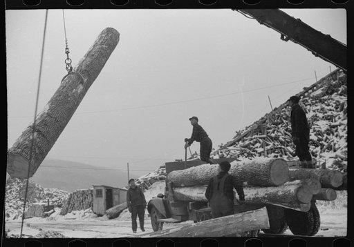 Untitled photo, possibly related to: Pulpwood for the paper mills in Berlin, New Hampshire