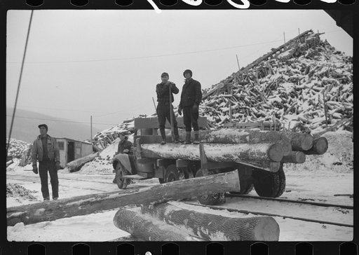 Untitled photo, possibly related to: Pulpwood for the paper mills in Berlin, New Hampshire
