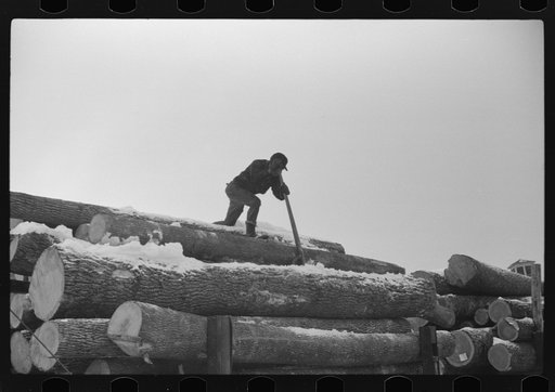 Pulpwood for the paper mills in Berlin, New Hampshire