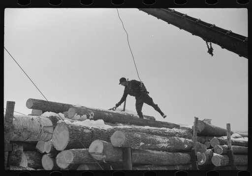 Pulpwood for the paper mills in Berlin, New Hampshire