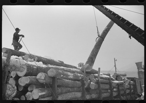 Untitled photo, possibly related to: Pulpwood for the paper mills in Berlin, New Hampshire