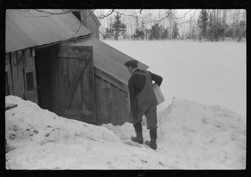 Untitled photo, possibly related to: Bucket for gathering sap from maple sugar tree and stack of wood needed in boiling sap into syrup on Frank Shurtleff farm. The Shurtleff farm has about 400 acres, and was originally purchased by grandfather in 1840. He raises sheep, cows, cuts lumber and has been