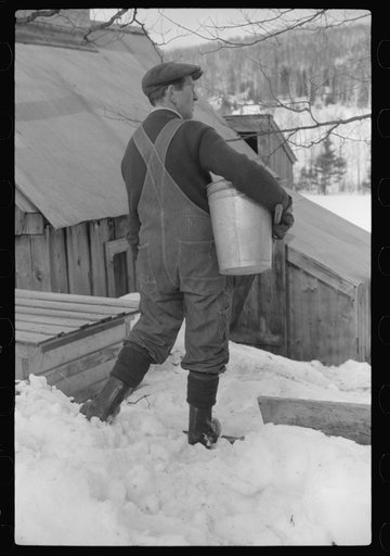 Untitled photo, possibly related to: Bucket for gathering sap from maple sugar tree and stack of wood needed in boiling sap into syrup on Frank Shurtleff farm. The Shurtleff farm has about 400 acres, and was originally purchased by grandfather in 1840. He raises sheep, cows, cuts lumber and has been