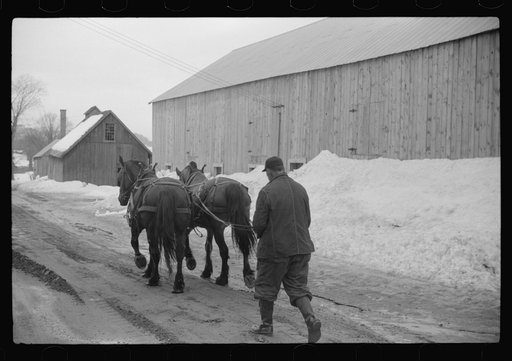 Untitled photo, possibly related to: Woodstock (vicinity), Vermont. Clinton Gilbert driving a team down the road to his farm during a spring thaw