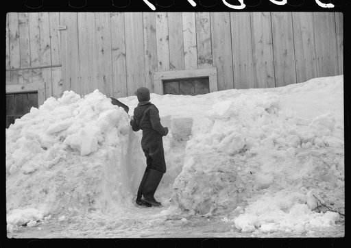 Untitled photo, possibly related to: Young son of Clinton Gilbert shoveling snow away from window of barn to let in some light. Clinton Gilbert farm near Woodstock, Vermont