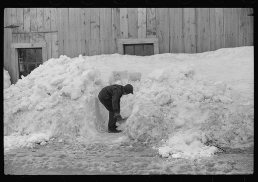 Young son of Clinton Gilbert shoveling snow away from window of barn to let in some light. Clinton Gilbert farm near Woodstock, Vermont