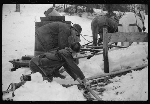 Men of Walter Gaylord place connecting pipe line from the vat through which will run the sap from sugar maple trees. The line leadds to the sugar house where sap is boiled down into maple syrup. Mad River Valley, Waitsfield, Vermont. Gaylord averages about 150 gallons of syrup annually but this year