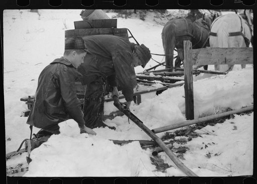 Untitled photo, possibly related to: Men of Walter Gaylord place connecting pipe line from the vat through which will run the sap from sugar maple trees. The line leadds to the sugar house where sap is boiled down into maple syrup. Mad River Valley, Waitsfield, Vermont. Gaylord averages about 150 ga