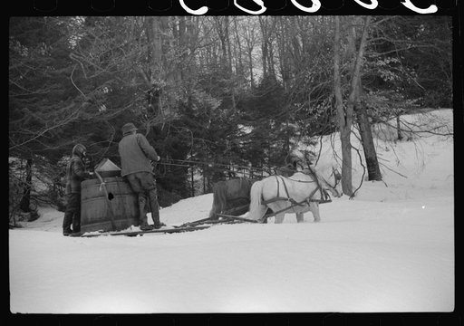 Walter Gaylord and son on sled with vat full of sap from sugar maple trees which is boiled down into syrup. Mad River Valley, Waitesfield, Vermont. He averages about 150 gallons of syrup annually, this year tapped only 600 out of his 1000 trees, because of unusually deep snow and late spring. He own