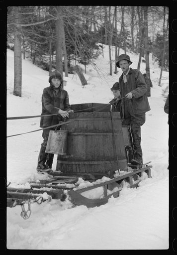 Walter Gaylord and son on sled with vat full of sap from sugar maple trees which is boiled down into syrup. Mad River Valley, Waitesfield, Vermont. He averages about 150 gallons of syrup annually, this year tapped only 600 out of his 1000 trees, because of unusually deep snow and late spring. He own