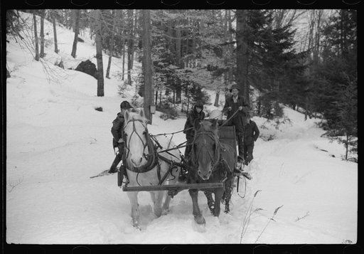 Untitled photo, possibly related to: Walter Gaylord and son on sled with vat full of sap from sugar maple trees which is boiled down into syrup. Mad River Valley, Waitesfield, Vermont. He averages about 150 gallons of syrup annually, this year tapped only 600 out of his 1000 trees, because of unusua