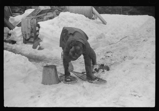Son of Walter Gaylord putting on snowshoes before going to gather sap from sugar maple trees. The snow was so deep that snowshoes were necessary to get around on. Mad River Valley, Waitsfield, Vermont. He averages about 150 gallons of syrup annually, this year tapped only 600 out of his 1000 trees, 