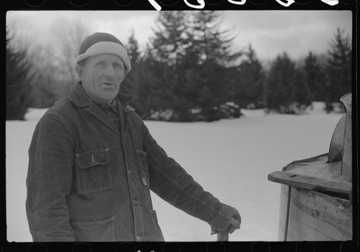 The hired man on Frank H. Shurtleff farm gathering maple sap from sugar maple trees to make syrup. The Shurtleff farm has about 400 acres and was originally purchased by grandfather in 1840. He raises sheep, cows, cuts lumber and has been making maple syrup for about thirty-five years. Sugaring brin