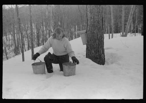 Untitled photo, possibly related to: Young neighbor of Frank H. Shurtleff resting in the snow while gathering sap from sugar trees for making maple syrup. Sugaring is a social event and is enjoyed by all young people and children in the neighborhood. The Shurtleff farm has about 400 acres and was or