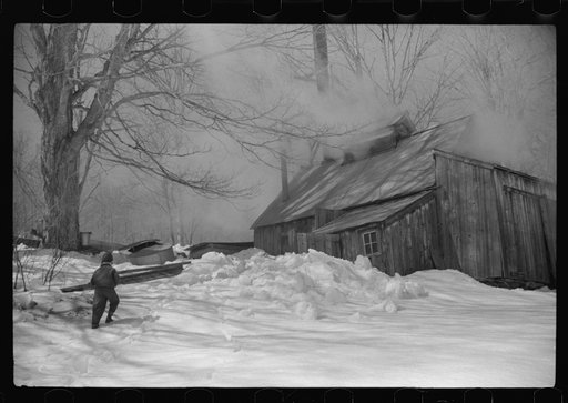 Young daughter of Frank H. Shurtleff going towards the sugar house where sap from sugar maple trees is boiled down into maple syrup. The Shurtleff farm has about 400 acres, and was originally purchased by grandfather in 1840. He raises sheep, cows, cuts lumber and has been making maple syrup for abo